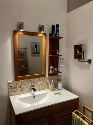 a bathroom with a sink and a mirror at Cannes Sweet Cannes in Cannes