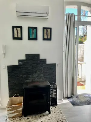 a fireplace in a living room with a stove at Cannes Sweet Cannes in Cannes