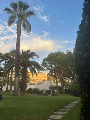 a palm tree in a park with a building at Parc Montfleury in Cannes