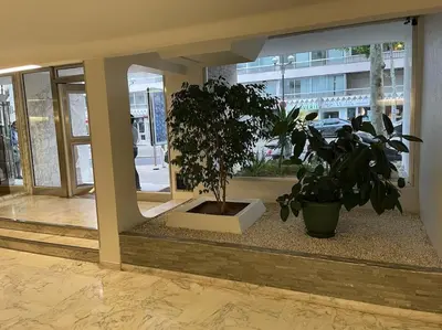 a plant in a pot in front of a building at Magnifique appartement in Cannes