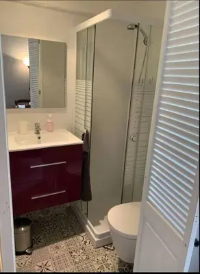 a bathroom with a shower and a sink and a toilet at Grand studio centre Cannes in Cannes